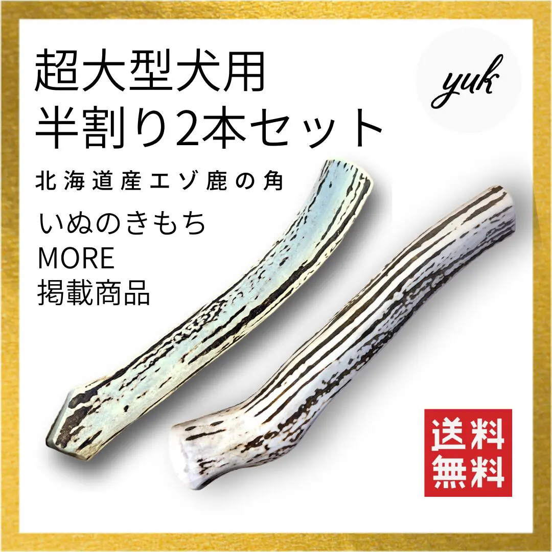 鹿の角 | yuk