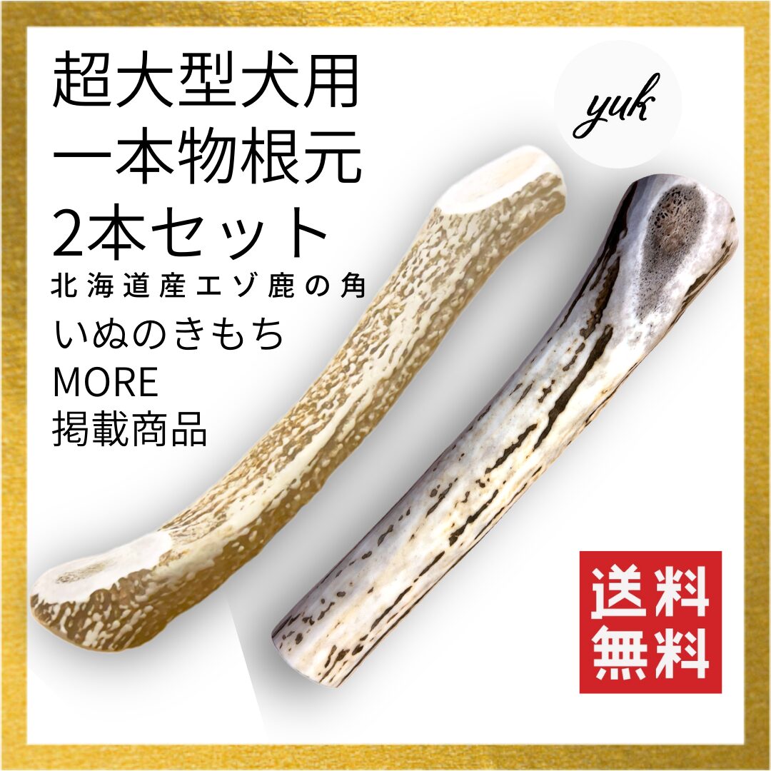超大型犬用　一本物根元　2本セット