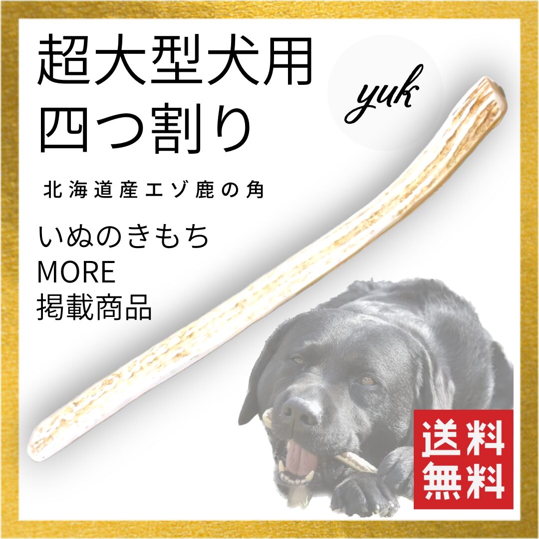 超大型犬用　四つ割り