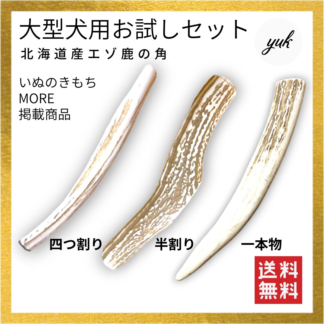 大型犬用　お試し3本セット　四つ割り＆半割り＆一本物先端