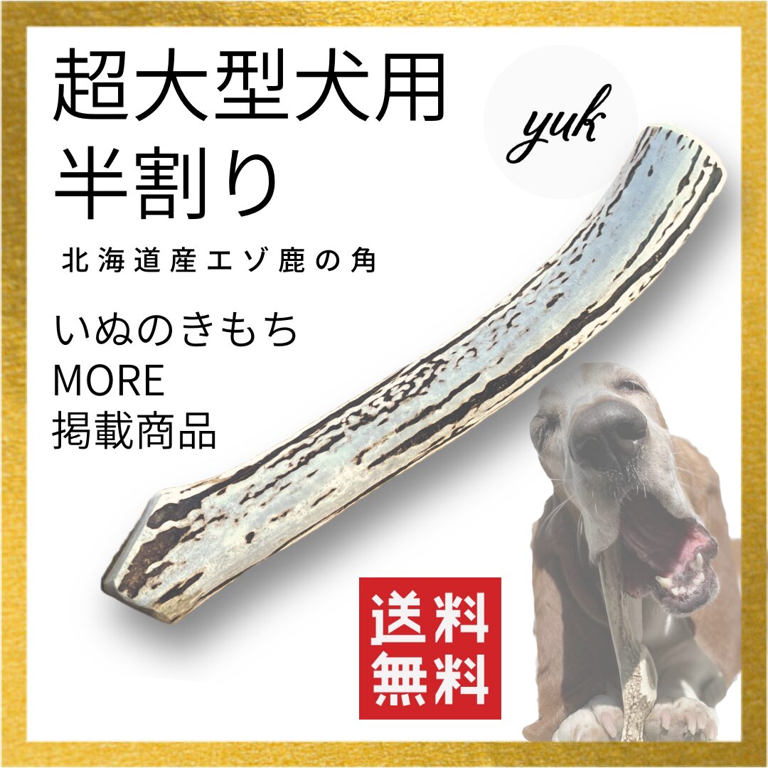 超大型犬用　半割り