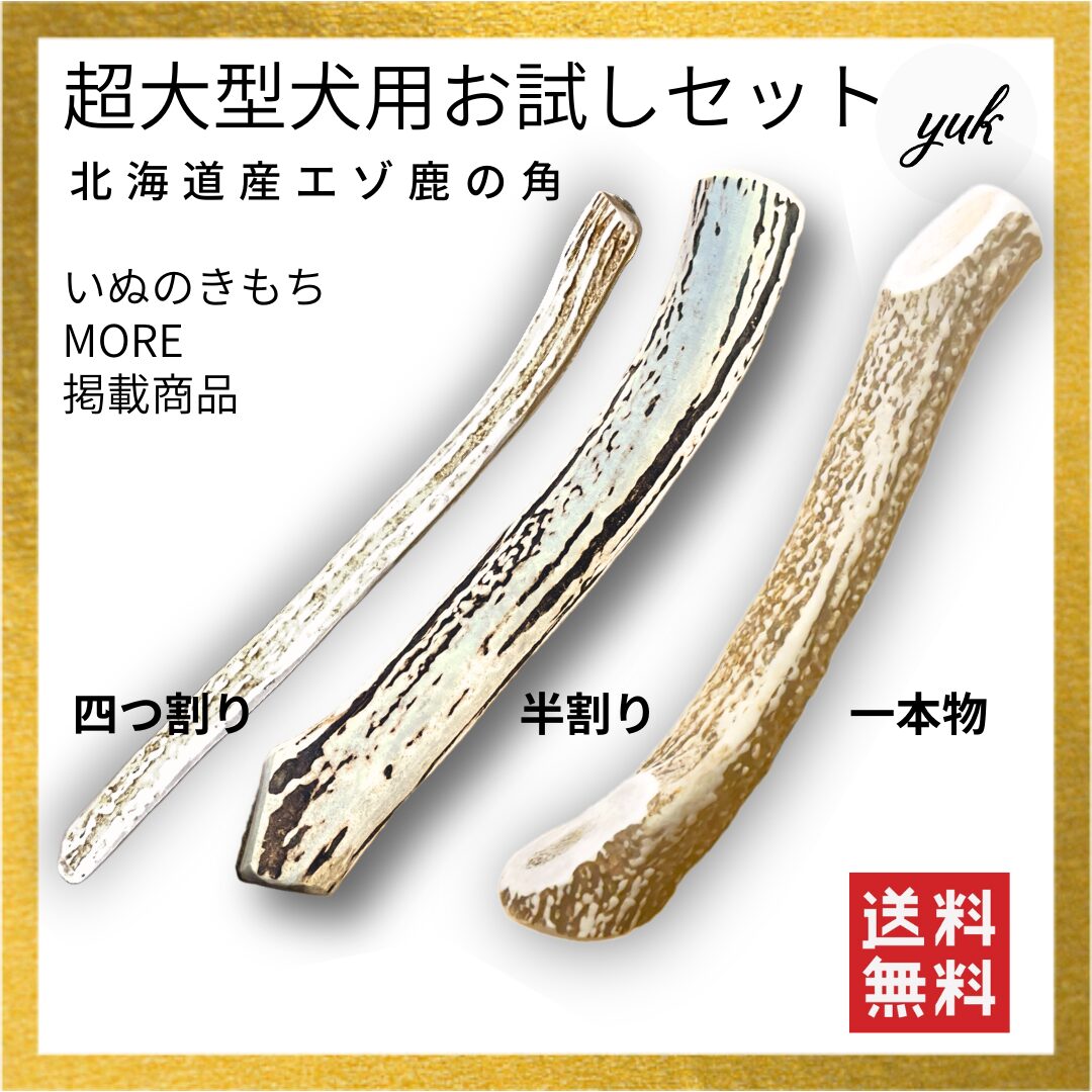 超大型犬用　お試し3本セット　四つ割り＆半割り＆一本物根元
